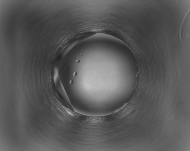 X0000052990384200507081156