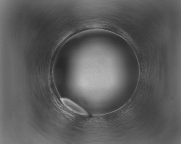 X0000052990386200507081155