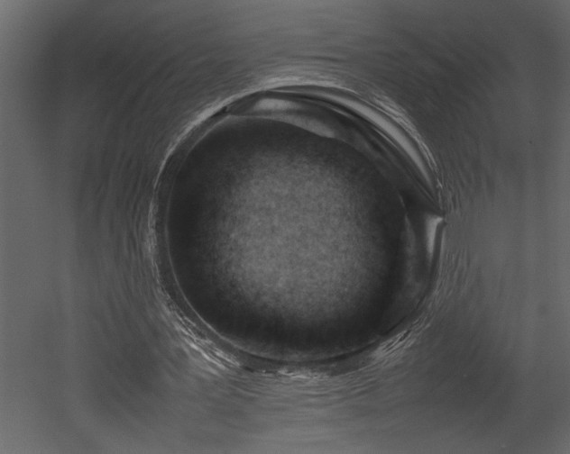 X0000052990387200507081155