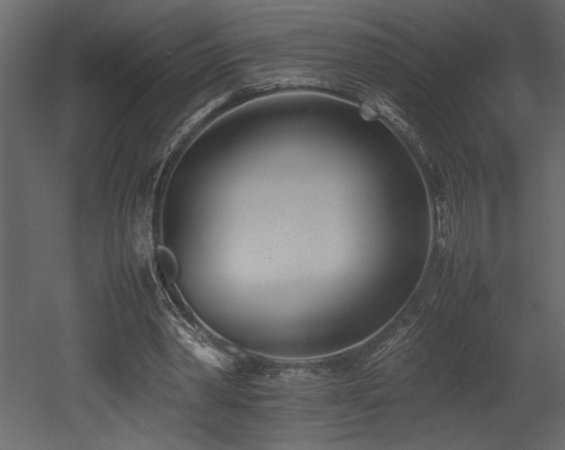 X0000052990390200507081155