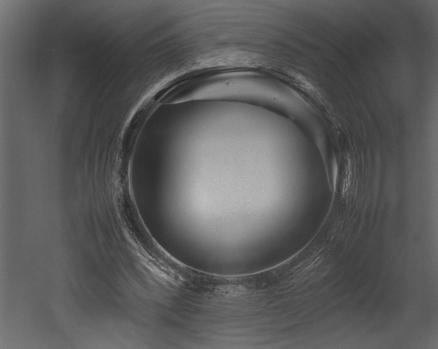 X0000052990392200507081155