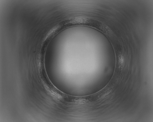 X0000052990396200507081155