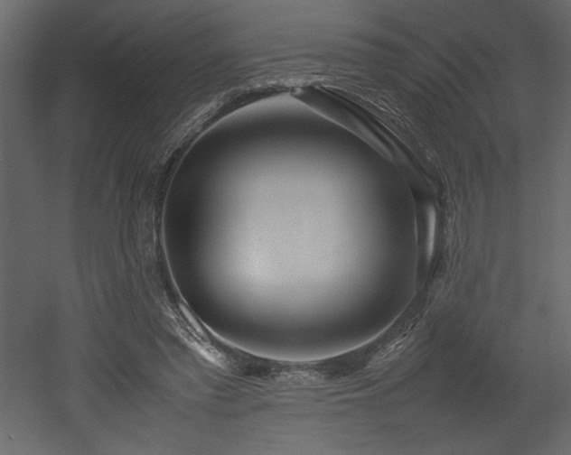 X0000052990397200507081154