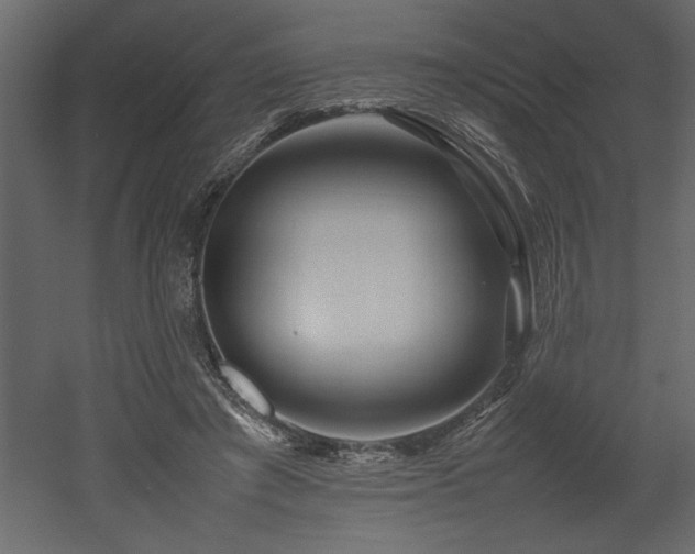 X0000052990401200507081154
