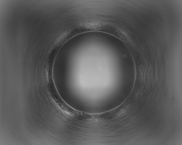 X0000052990404200507081154