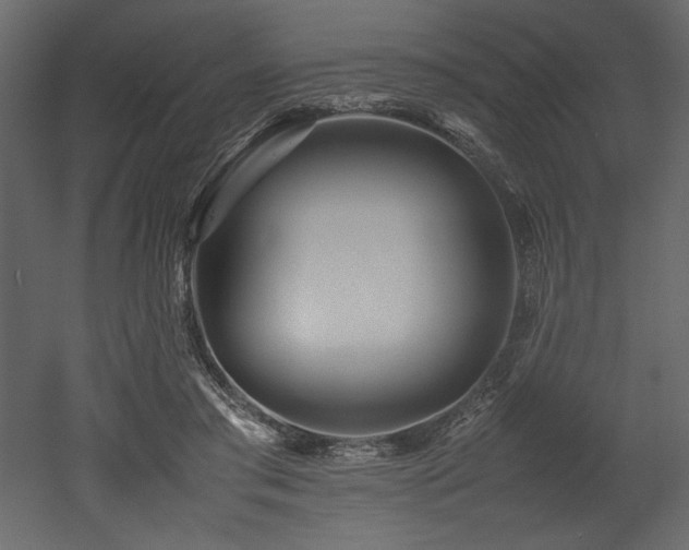 X0000052990405200507081154