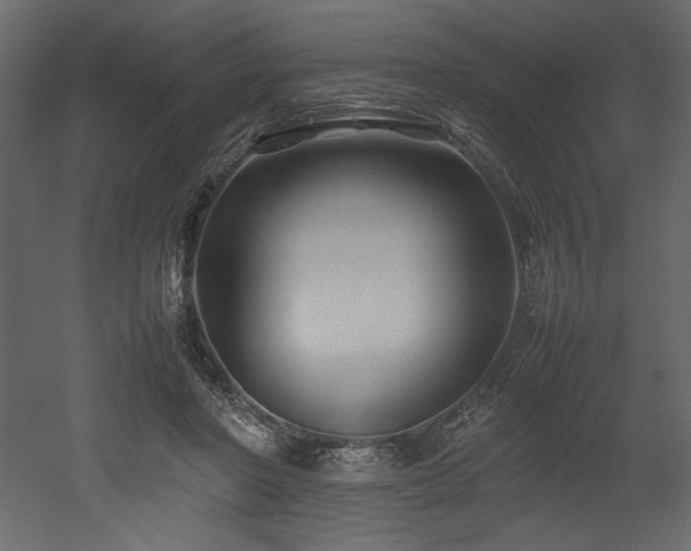 X0000052990406200507081154