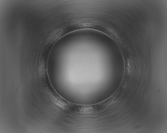 X0000052990410200507081154
