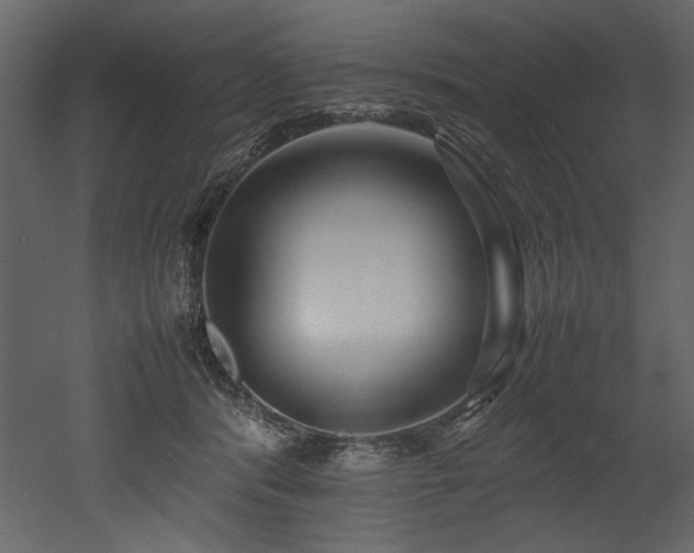 X0000052990416200507081154