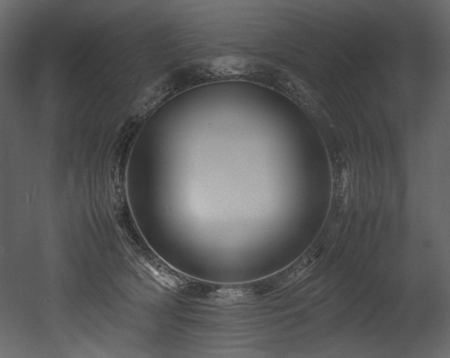 X0000052990418200507081154