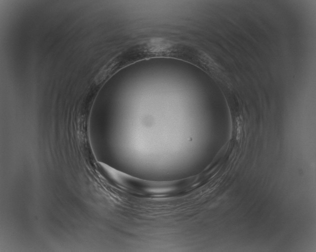 X0000052990421200507081154