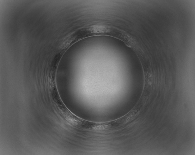 X0000052990422200507081154