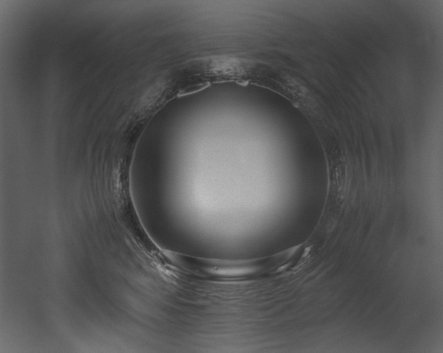 X0000052990424200507081154