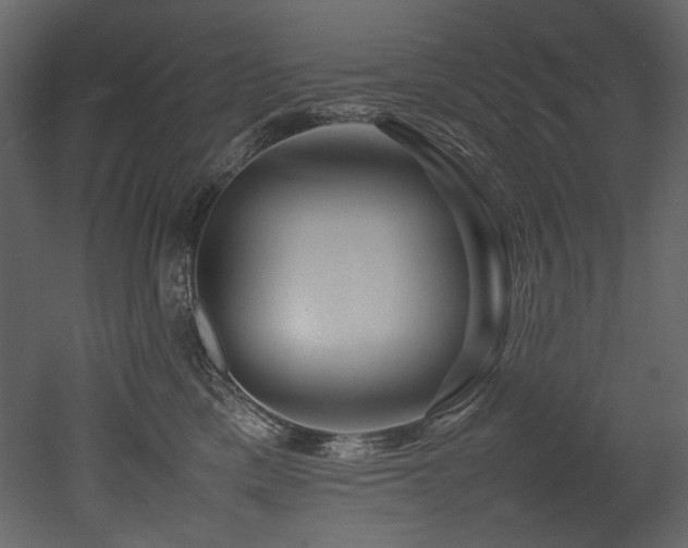 X0000052990425200507081154