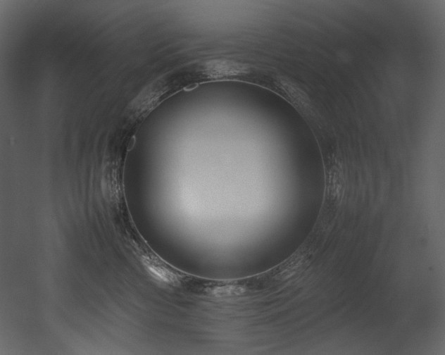 X0000052990426200507081154
