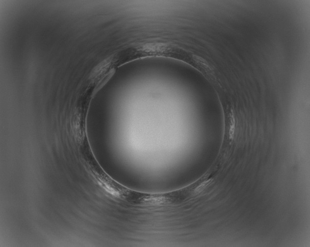X0000052990428200507081154