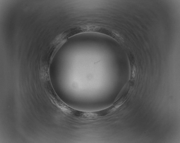 X0000052990429200507081154