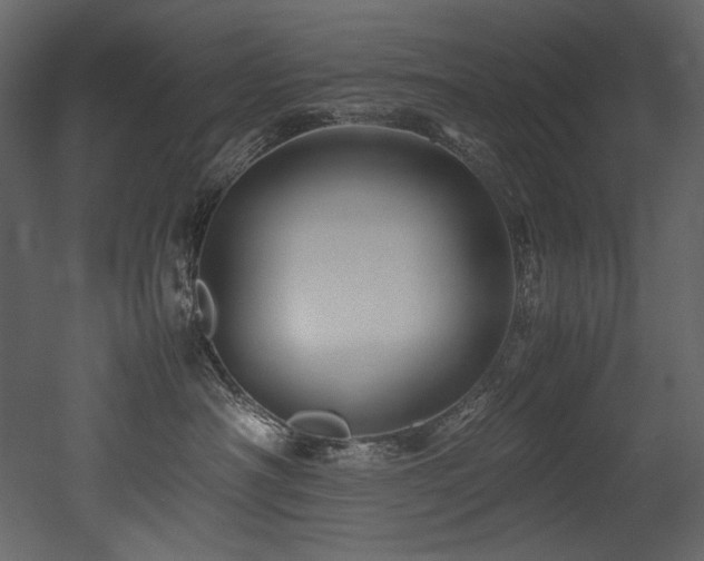 X0000052990430200507081154