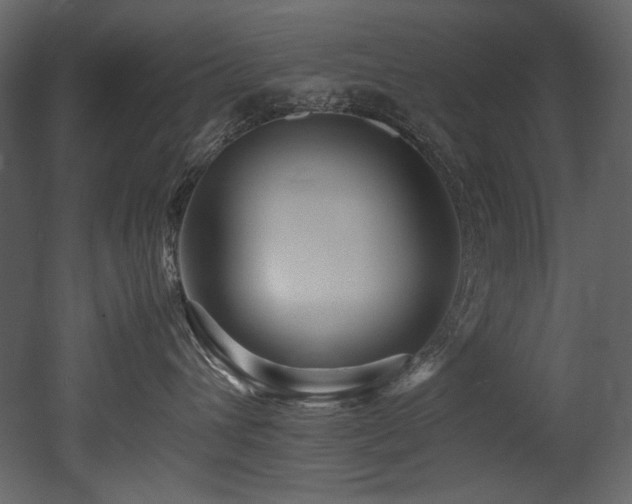 X0000052990432200507081154
