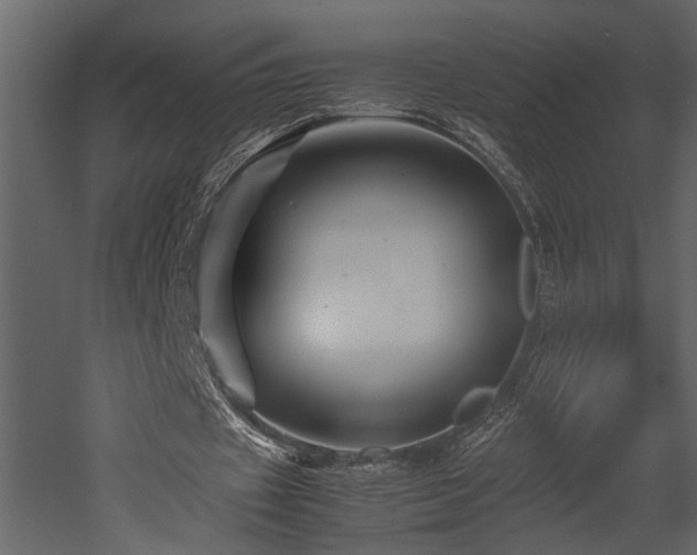 X0000052990433200507081153