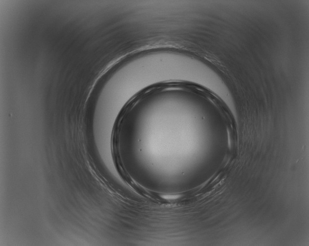 X0000052990440200507081153