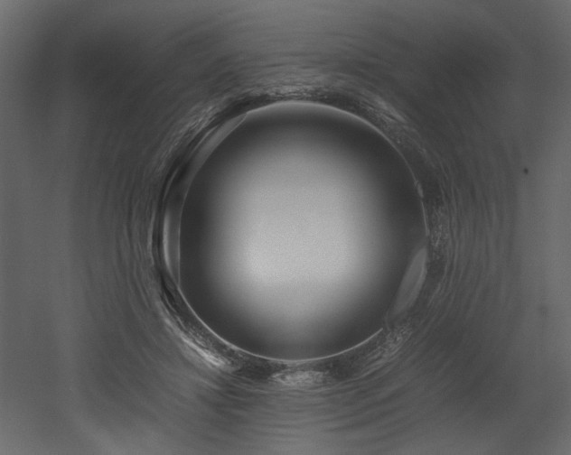X0000052990452200507081153