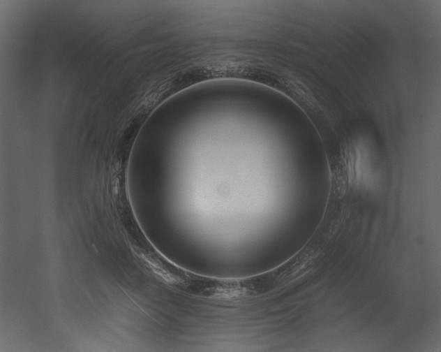 X0000052990458200507081154