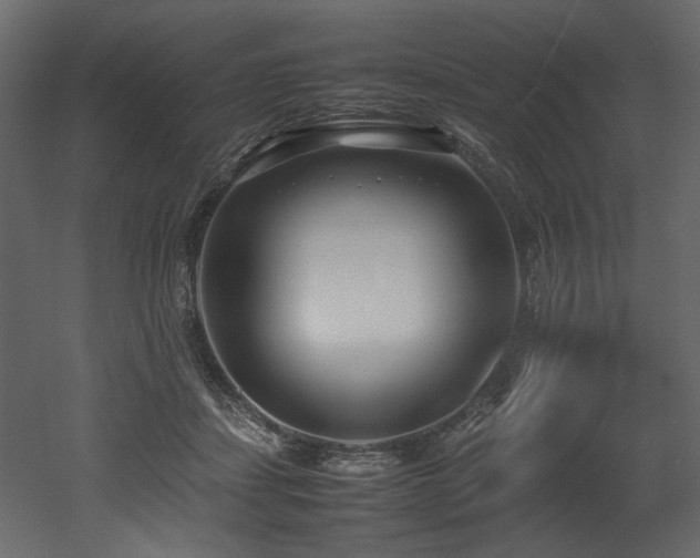 X0000052990459200507081154