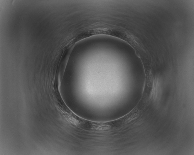 X0000052990463200507081154