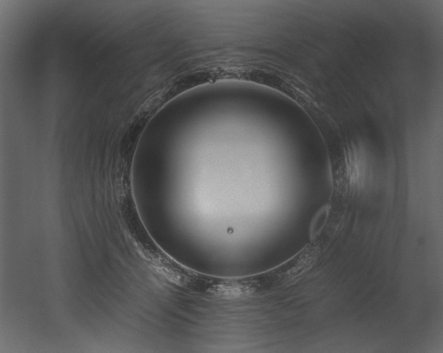 X0000052990464200507081154