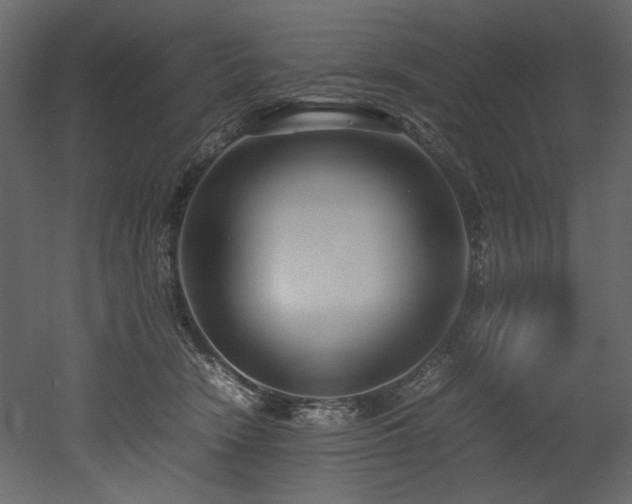 X0000052990466200507081154