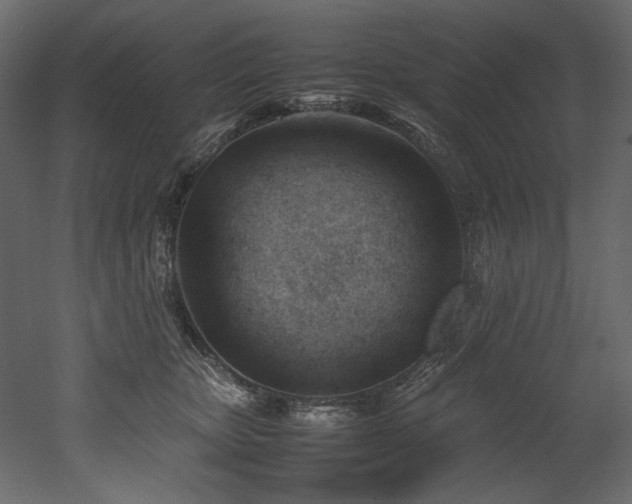 X0000052990467200507081154