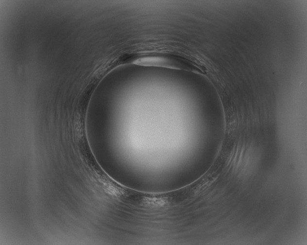 X0000052990469200507081154