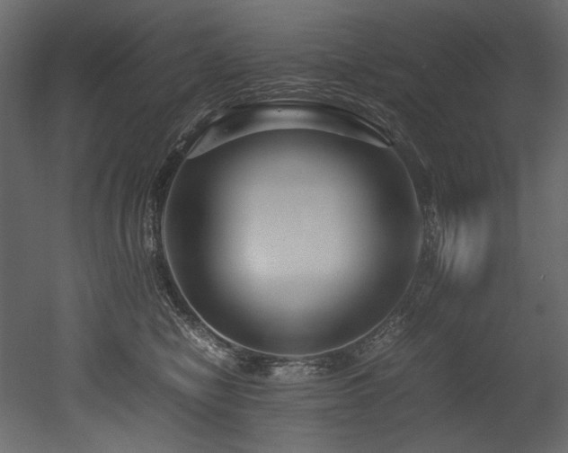 X0000052990470200507081154