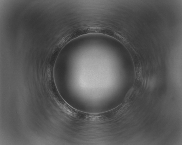 X0000052990472200507081154