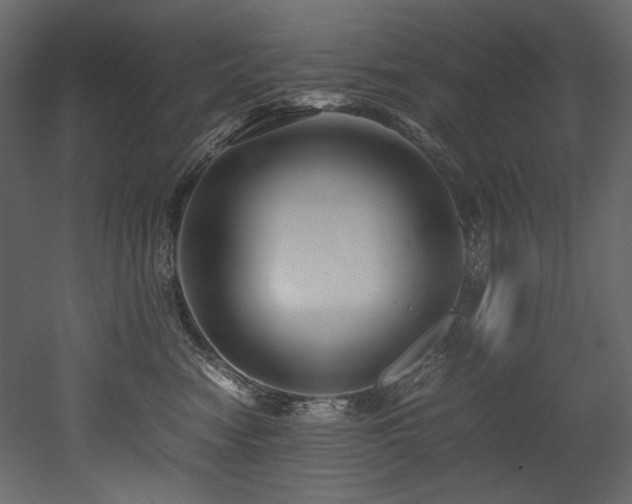 X0000052990474200507081154