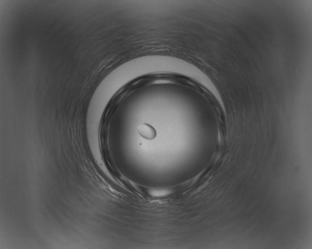 X0000052990475200507081154
