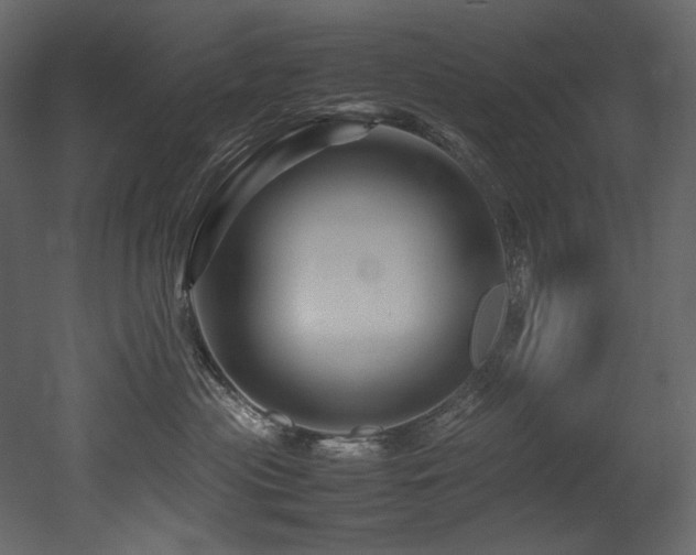 X0000052990477200507081154