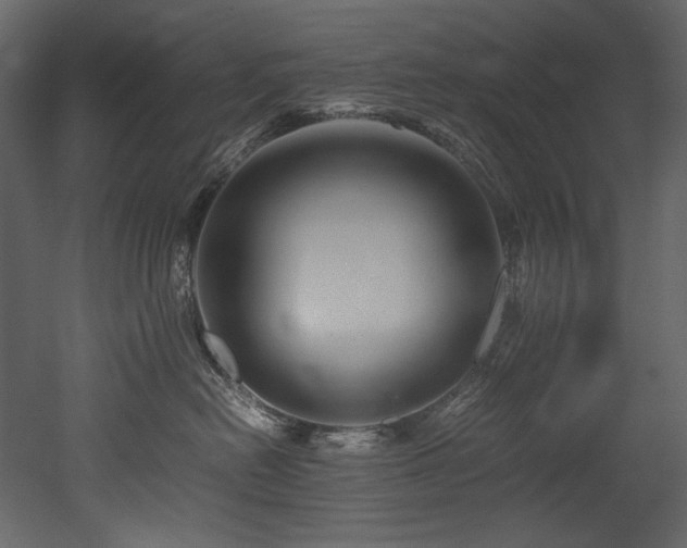 X0000052990478200507081154