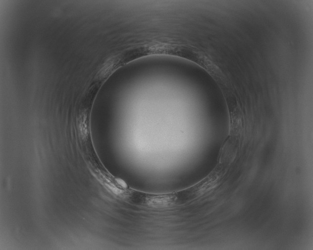 X0000052990479200507081154
