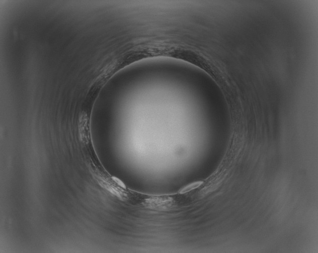 X0000052990480200507081154