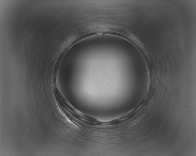 X0000052990485200507081153