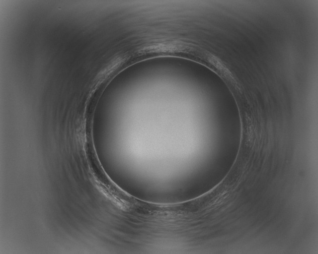 X0000052990486200507081153