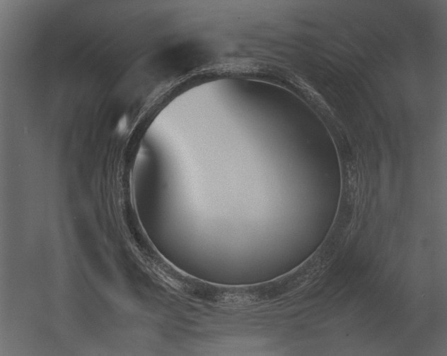 X0000052990487200507081153