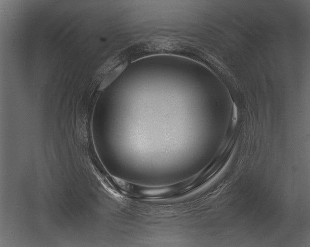 X0000052990489200507081153