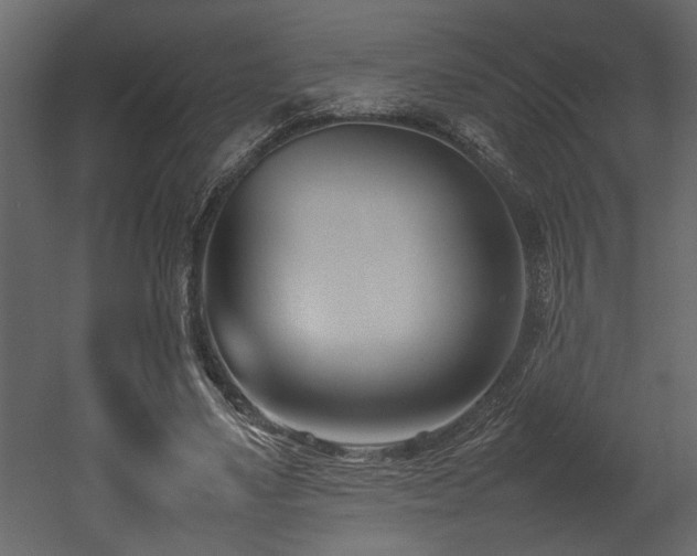 X0000052990491200507081153