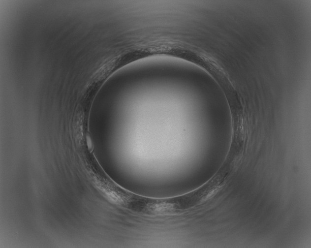 X0000052990501200507081153