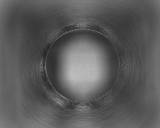 X0000052990502200507081153