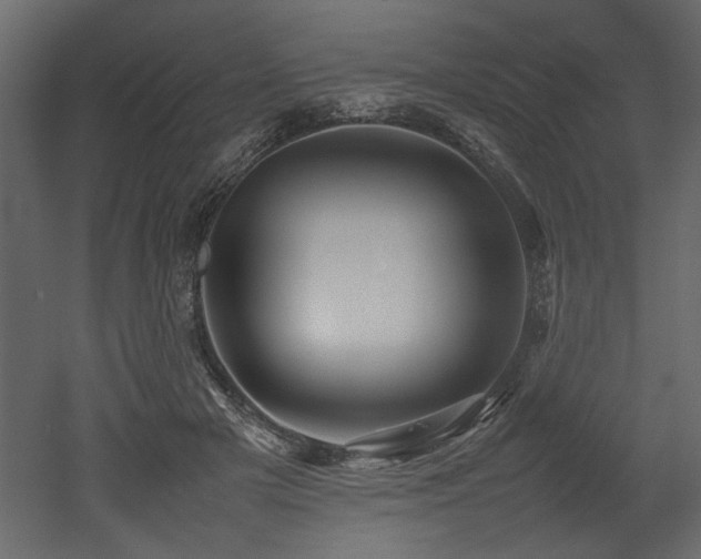 X0000052990505200507081153