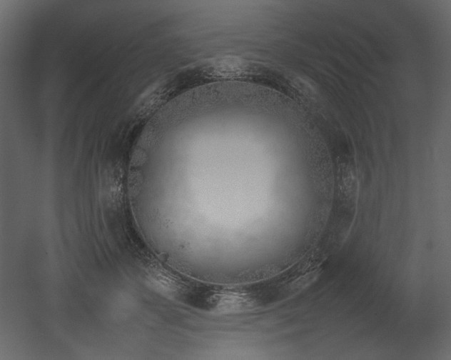 X0000052990507200507081153